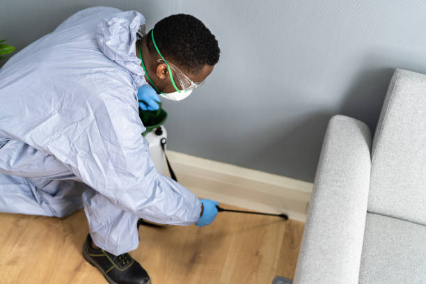 Best Indoor Pest Control  in Melrose Park, NY